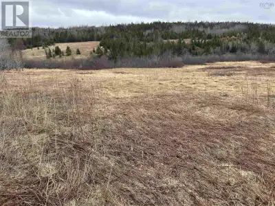This 0.54-acre lot with views of Antigonish Harbour offers the perfect blend of space, scenery, and...