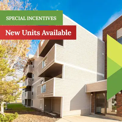 Daly Grove - 1 Bedroom Apartment for Rent