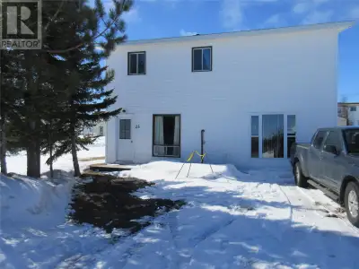 Looking for an affordable home at a great price, this 5 bedroom home located in Buchans could make a...