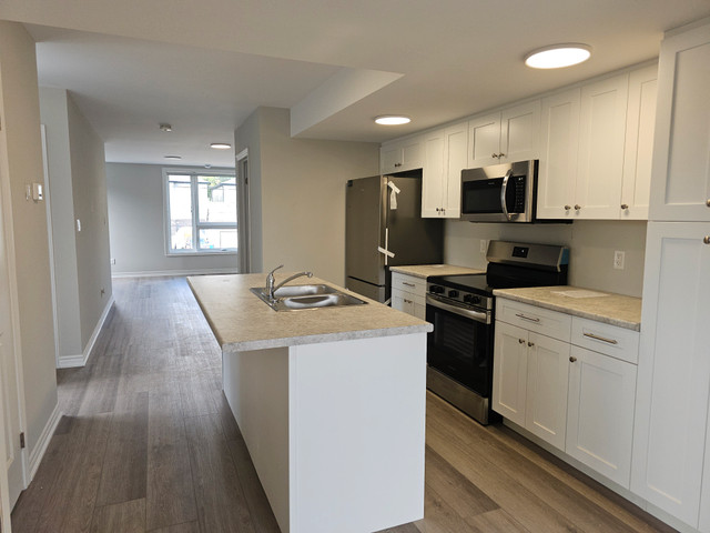 53 - 55 Huron Street - 55 Upper House for Rent in Long Term Rentals in St. Catharines - Image 3