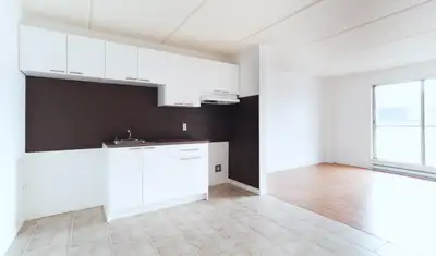 Appartement à aire ouverte, rénové. Appareils électroménagers inclus. Sur Chemin Chambly DISPONIBLE...