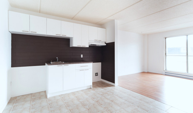 3½ a Longueuil,Spacieux et Lumineux à aire ouvert- DISPONIBLE dans Locations longue durée  à Longueuil/Rive Sud