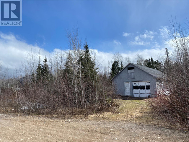 395 B Little Bay Road Springdale, Newfoundland & Labrador in Houses for Sale in Corner Brook