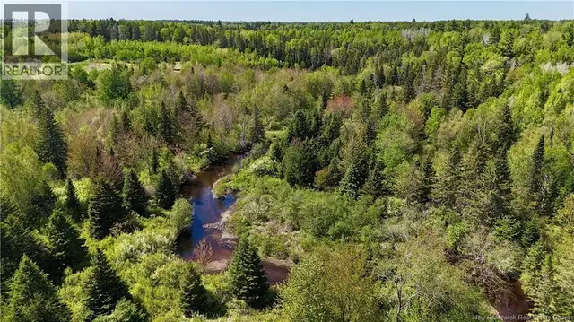 LOT Dargavels Road Bass River, New Brunswick in Land for Sale in Moncton - Image 4