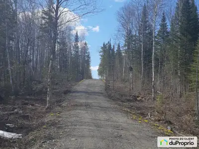 Grand terrain au bord du Lac des Aigles. Situé au centre des villes de Rimouski, Rivière-du-Loup, Ca...