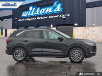 Check out this certified 2024 Ford Escape PHEV | Tow Pkg | Adaptive Cruise | Remote Start | Heated W... (image 5)