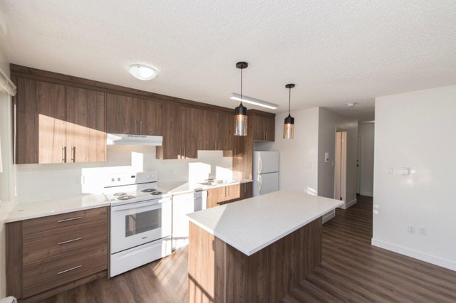 Sunalta Apartment For Rent | Sunalta 1837 Apartments in Long Term Rentals in Calgary - Image 3