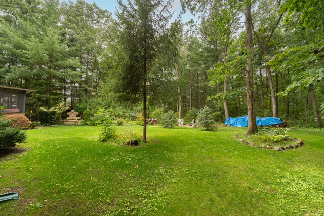 Bungalow on Acre of Woods w 2.5 car garage! kq78923 in Houses for Sale in Kitchener / Waterloo - Image 4