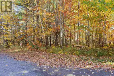 Imagine building your dream home within walking distance to one of the nicest beaches in the area? Y...