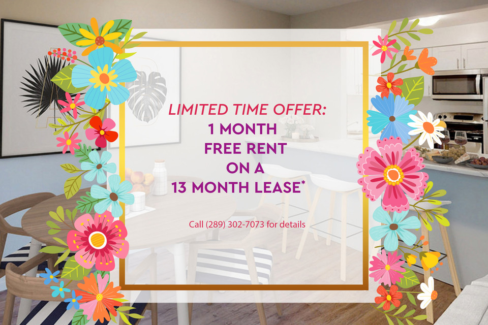 323 Niagara Blvd 1 bedroom Apartment for Rent Long Term Rentals