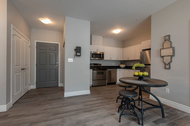 Upgrade Your Student Lifestyle:501 Frontenac 4-Bedroom Available in Long Term Rentals in Kingston - Image 2