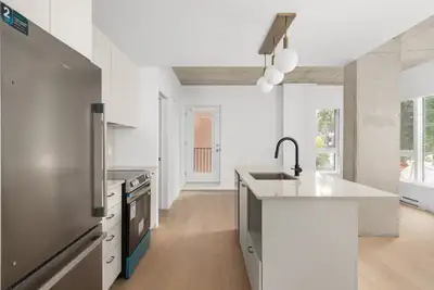 4.5-Condo appartement à louer à Rosemont-Petite-Patrie-Joseph, View more