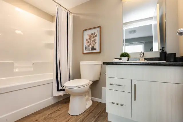 Pet-Friendly One Bedroom One Bath with In-suite Laundry for Rent in Long Term Rentals in Winnipeg - Image 15