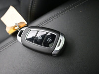 One owner just traded and fully O'Regan's Green Light Certified this Santa Fe Preferred features a c... (image 4)