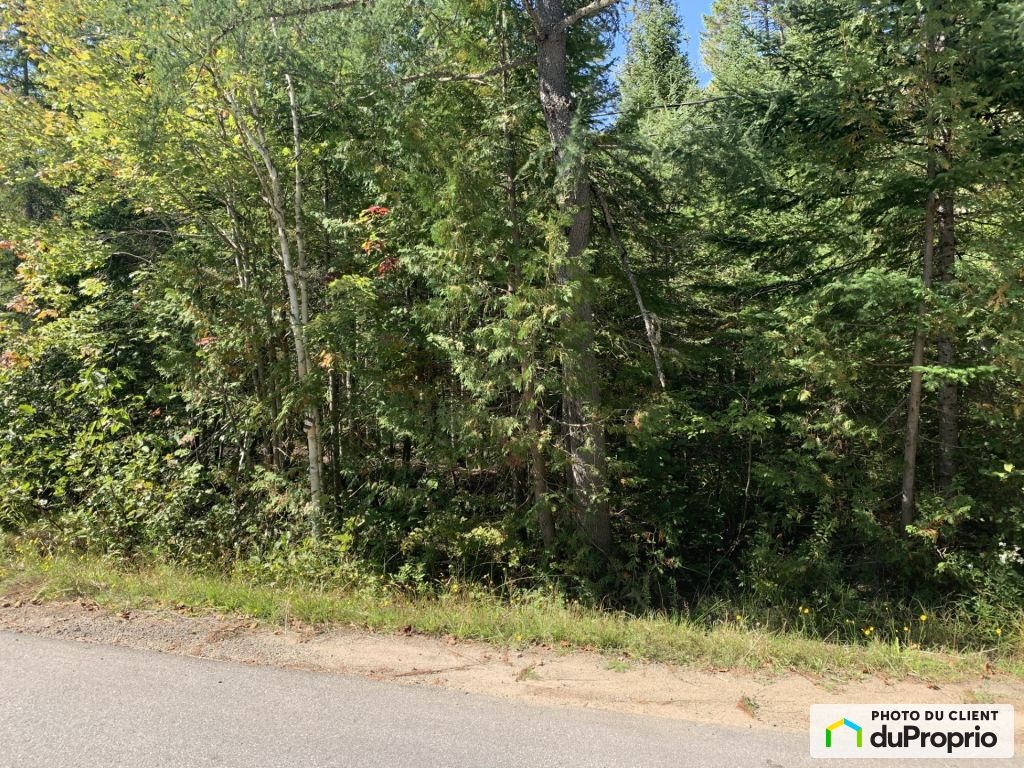 $79,000 - Residential Lot for sale in Estérel — photo 2