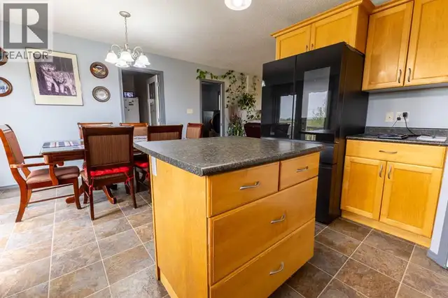 #4 Jewel Road Rural Stettler No. 6, County of, Alberta in Houses for Sale in Red Deer - Image 11
