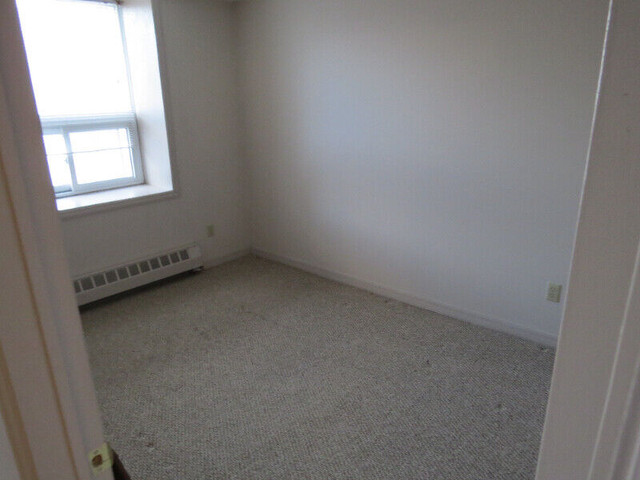 2 bedroom core downtown in Long Term Rentals in Kingston - Image 4