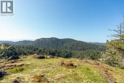 Prime development opportunity to own one or more West Coast wilderness building lots. Picture waking...