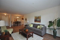 Large, 3BR in Clayton Park! Newly Renovated - Dog Friendly