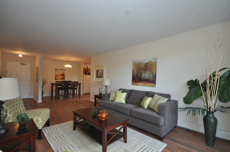 Large, 3BR in Clayton Park! Newly Renovated Dog Friendly Long Term