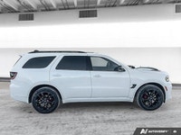 TIRES: 265/50R20 PERFORMANCE AS,BLACKTOP PACKAGE -inc: Gloss Black GT Badging Wheels: 20 x 8 Black N... (image 6)