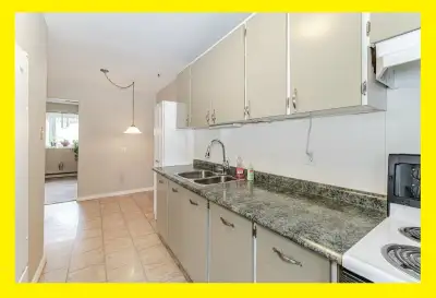 Jade Wood Kitchen Countertop Sink Faucet Reno Room Rent Lease, View more