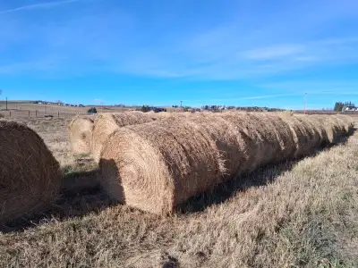 GREENFEED OATS ROUND BALE'S, View more