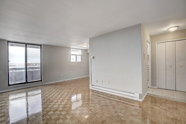 Brampton 1 Bedroom Apartment for Rent - 182 Church Street, East in Long Term Rentals in Mississauga / Peel Region - Image 3