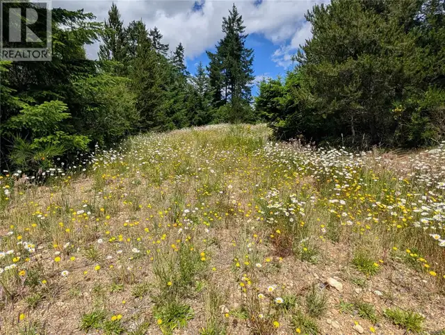Lot 1 Eagle Vista Rd Shawnigan Lake, British Columbia in Land for Sale in Victoria - Image 9