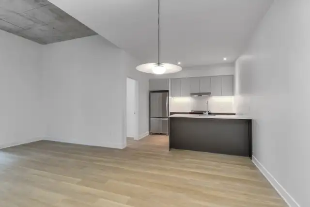 4.5 condo appartement neuf locatif Ville-Marie-Jacques in Long Term Rentals in City of Montréal - Image 4