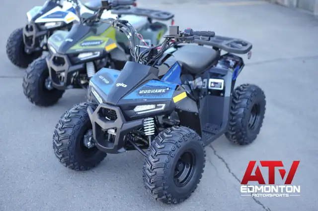 2025 Gio Blazer 110H ATV FOR KIDS! Premium Model! in ATVs in Edmonton - Image 30