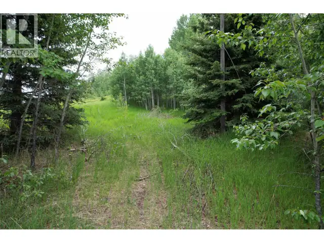 LOT 15 MCCARTHY ROAD Bridge Lake, British Columbia in Land for Sale in 100 Mile House - Image 4