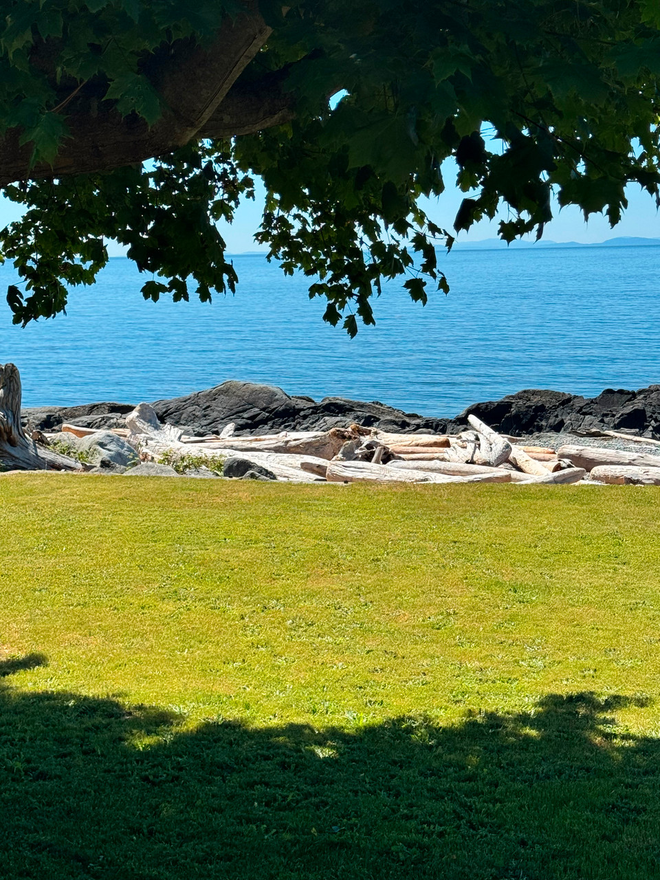 PRIME WALK-OUT WATERFRONT in Houses for Sale in North Shore