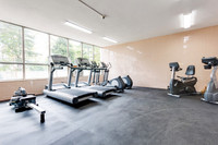 1 Bed, 1 Bath, Spacious, Newly Renovated Kitchen with Stainless Steel Appliances, Hardwood Flooring... (image 8)