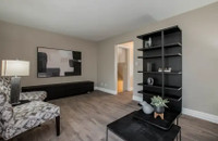Comfortable Apartment in Kingston's West Village