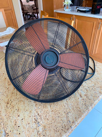 Outdoor ceiling fan