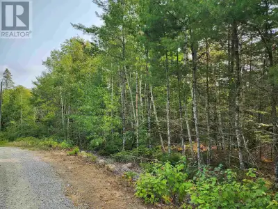 Lot 70 Turner Point Road is your chance to own 2.68 acres of peaceful property in cottage country! B...