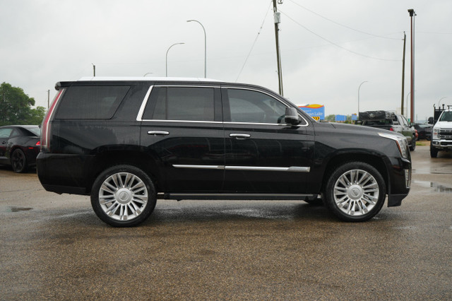 2015 Cadillac Escalade Platinum in Cars & Trucks in Red Deer - Image 4