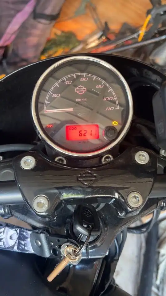 2015 HARLEY-DAVIDSON STREET 500-FINANCE AVAILABLE!  in Street, Cruisers & Choppers in Winnipeg - Image 6