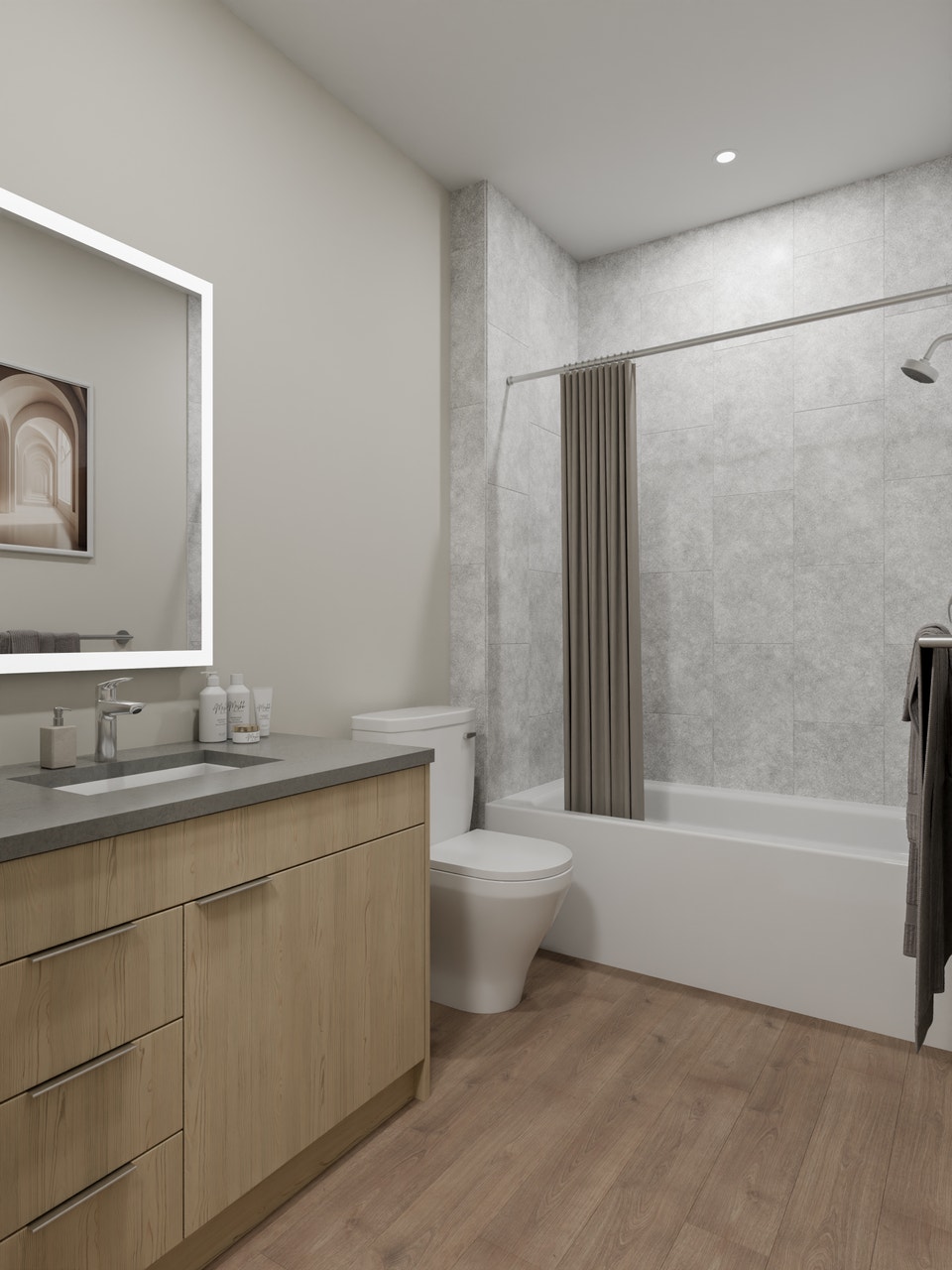 2 Bedroom + Den Apartment 3