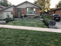 Kentucky blue grass install.grass replacment 647 936 2737