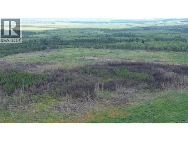 1111 BIRLEY ROAD Buick Creek, British Columbia in Land for Sale in Fort St. John - Image 14