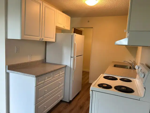 IN-SUITE WASHER & DRYER / ELEVATOR! in Long Term Rentals in Prince Albert - Image 14