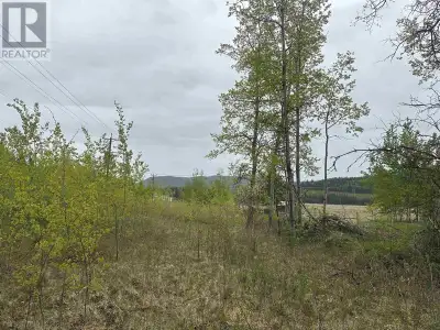 Great opportunity with this multi-use, RR1 zoned acreage. 6.33 acres just 10 minutes East of Fraser...
