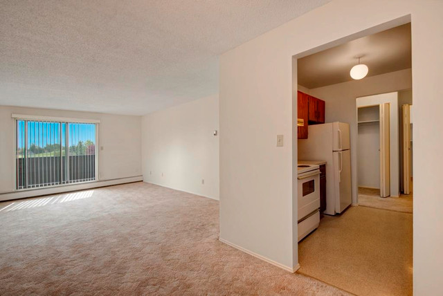 Modern, Spacious 3 Bedroom Trumpeter Apartment Southside in Long Term Rentals in Grande Prairie - Image 3