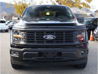 2024 FORD F-150 STX - NO ACCIDENTS - ONE OWNER - BC VEHICLE - NAVIGATION - BACKUP CAMERA - HEATED FR... (image 2)