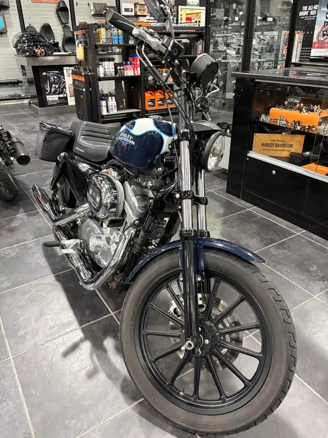 2009 Harley-Davidson Sportster 883 Low in Sport Bikes in Sudbury - Image 2