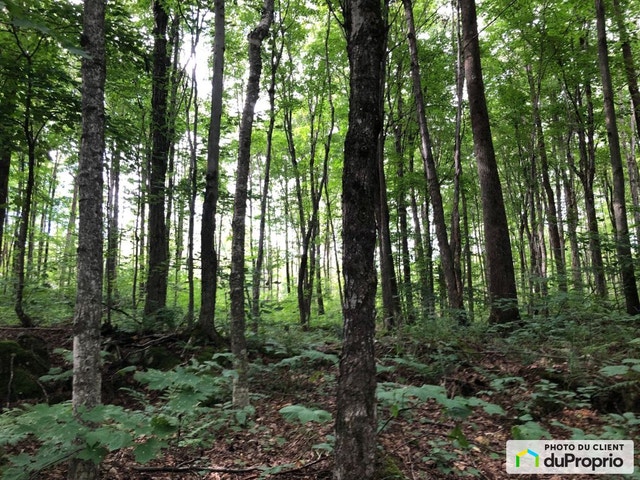 $159,900 - Price taxes included - Residential Lot in Eastman — photo 2