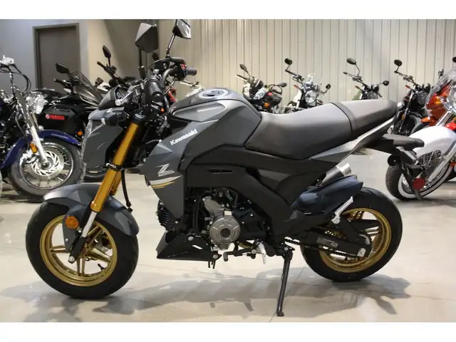 2024 Kawasaki Z125 PRO 125CC STREET LEGAL & EASY TO RIDE! in Street, Cruisers & Choppers in Guelph - Image 3