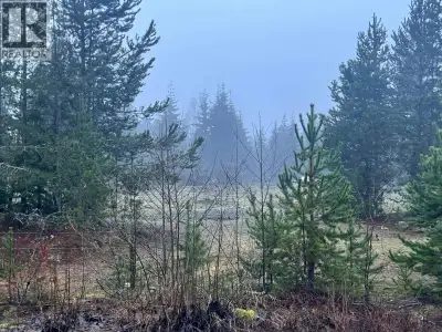 Court order sale. 10.07 acres in Jackpine Flats. Seller is not allowing showings . Mobile home is no...